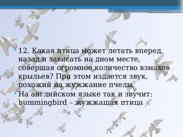 12. Какая птица может летать вперед, назад и зависать на дном месте, совершая огромное количество взмахов крыльев? При этом издается звук, похожий на жужжание пчелы. На английском языке так и звучит: hummingbird – жужжащая птица 