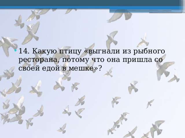 14. Какую птицу «выгнали из рыбного ресторана, потому что она пришла со своей едой в мешке»? 