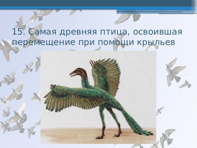 15. Самая древняя птица, освоившая перемещение при помощи крыльев 