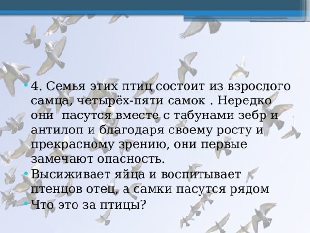 4. Семья этих птиц состоит из взрослого самца, четырёх-пяти самок . Нередко они пасутся вместе с табунами зебр и антилоп и благодаря своему росту и прекрасному зрению, они первые замечают опасность. Высиживает яйца и воспитывает птенцов отец, а самки пасутся рядом Что это за птицы? 