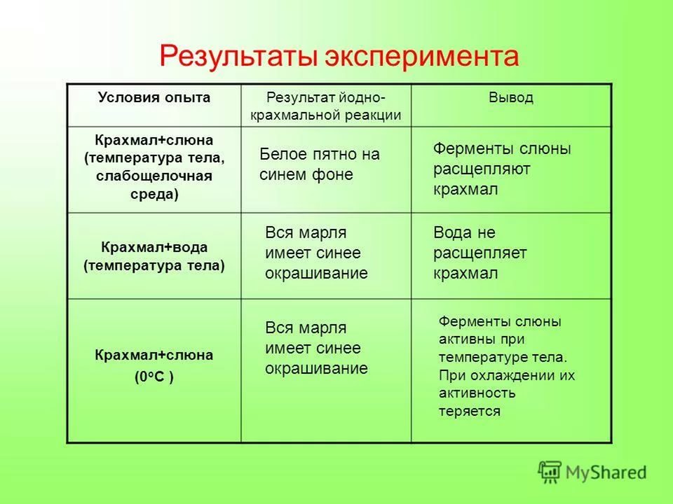 Фото результата опыта действия слюны на крахмал Методическая библиотека - Биология - Уроки - 8 класс
