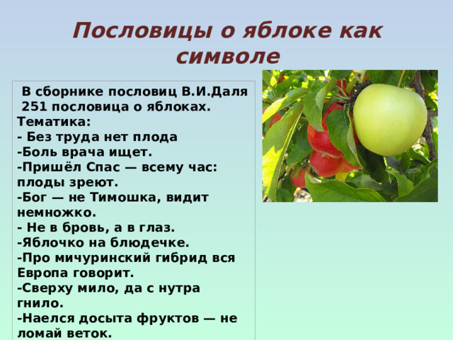 Пословицы о яблоке как символе  В сборнике пословиц В.И.Даля 251 пословица о яблоках. Тематика: - Без труда нет плода -Боль врача ищет. -Пришёл Спас — всему час: плоды зреют. -Бог — не Тимошка, видит немножко. - Не в бровь, а в глаз. -Яблочко на блюдечке. -Про мичуринский гибрид вся Европа говорит. -Сверху мило, да с нутра гнило. -Наелся досыта фруктов — не ломай веток. -Из роду в род — тот же урод. 