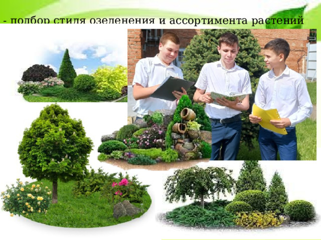 - подбор стиля озеленения и ассортимента растений 