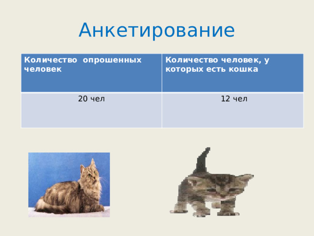 Анкетирование Количество опрошенных человек Количество человек, у которых есть кошка 20 чел  12 чел 