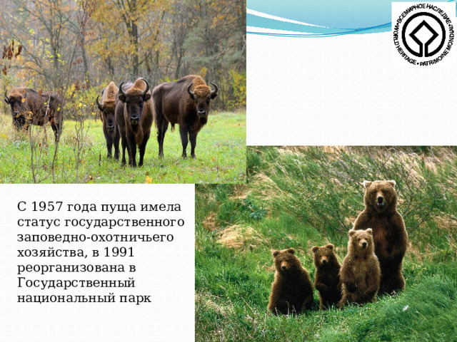 С 1957 года пуща имела статус государственного заповедно-охотничьего хозяйства, в 1991 реорганизована в  Государственный национальный парк 