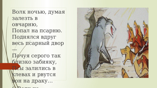 Волк ночью, думая залезть в овчарню,  Попал на псарню.  Поднялся вдруг весь псарный двор —  Почуя серого так близко забияку,  Псы залились в хлевах и рвутся вон на драку… («Волк на псарне») 