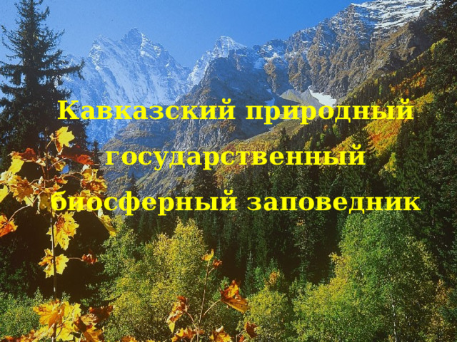 Кавказский природный государственный биосферный заповедник 