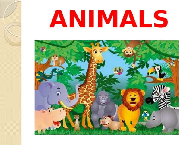 ANIMALS 
