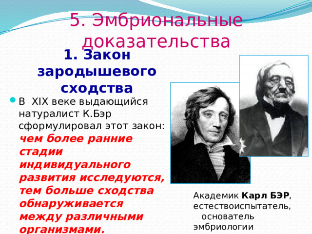 5. Эмбриональные доказательства 1. Закон зародышевого сходства В XIX веке выдающийся натуралист К.Бэр сформулировал этот закон:  чем более ранние стадии индивидуального развития исследуются, тем больше сходства обнаруживается между различными организмами. Академик  Карл   БЭР , естествоиспытатель,  основатель эмбриологии   