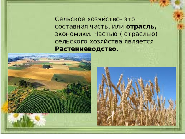 Сельское хозяйство- это составная часть, или отрасль, экономики. Частью ( отраслью) сельского хозяйства является Растениеводство. 