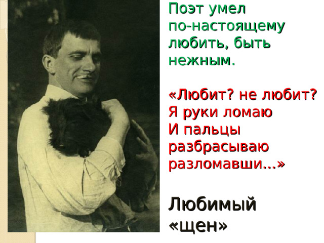 Поэт умел  по-настоящему  любить, быть  нежным.   «Любит? не любит?  Я руки ломаю  И пальцы  разбрасываю  разломавши…»   Любимый «щен» 