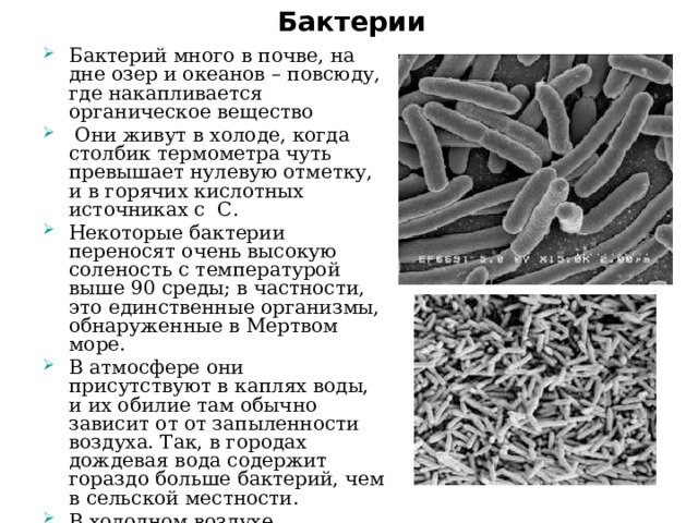 Бактерии Бактерий много в почве, на дне озер и океанов – повсюду, где накапливается органическое вещество  Они живут в холоде, когда столбик термометра чуть превышает нулевую отметку, и в горячих кислотных источниках с С. Некоторые бактерии переносят очень высокую соленость с температурой выше 90 среды; в частности, это единственные организмы, обнаруженные в Мертвом море. В атмосфере они присутствуют в каплях воды, и их обилие там обычно зависит от от запыленности воздуха. Так, в городах дождевая вода содержит гораздо больше бактерий, чем в сельской местности. В холодном воздухе высокогорий и полярных областей их мало, тем не менее они встречаются даже в нижнем слое стратосферы на высоте 8 км.  