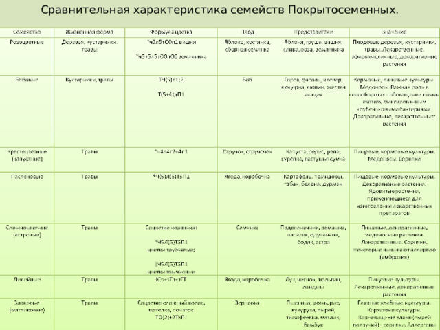 Сравнительная характеристика семейств Покрытосеменных. 