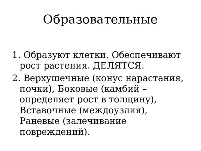 Образовательные 1. Образуют клетки. Обеспечивают рост растения. ДЕЛЯТСЯ. 2. Верхушечные (конус нарастания, почки), Боковые (камбий – определяет рост в толщину), Вставочные (междоузлия), Раневые (залечивание повреждений). 