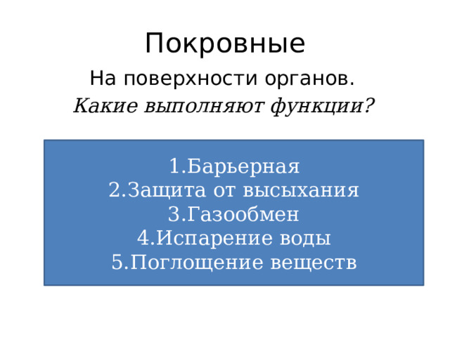 Покровные На поверхности органов. Какие выполняют функции? Барьерная Защита от высыхания Газообмен Испарение воды Поглощение веществ 