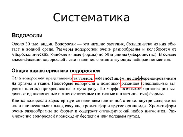 Систематика 