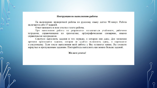 Хрюшка запрыгнула на поваленное дерево пробежала по столу и замерла