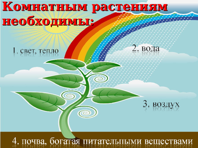 Комнатным растениям необходимы: 