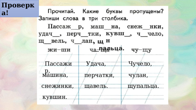 Проверка! кувш__н , щ __пальца. Пассажир, Удача, Чучело, машина, перчатки, чулан, снежинки, щавель. щупальца. кувшин. 