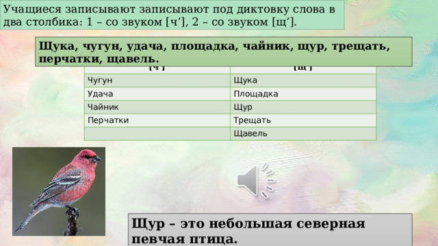 Учащиеся записывают записывают под диктовку слова в два столбика: 1 – со звуком [ч’], 2 – со звуком [щ’]. Щука, чугун, удача, площадка, чайник, щур, трещать, перчатки, щавель. [ч’] [щ’] Чугун Щука Удача Площадка Чайник Щур Перчатки Трещать Щавель Щур – это небольшая северная певчая птица. 