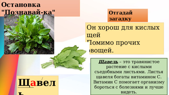 Остановка 
