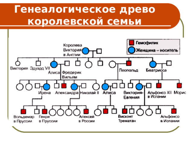 Генеалогическое древо королевской семьи 