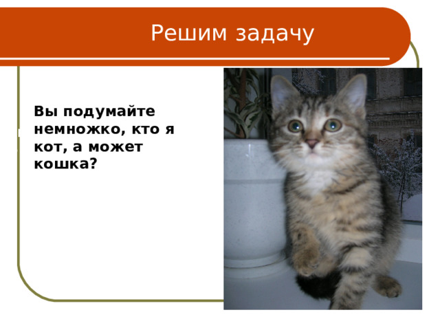 Решим задачу Вы подумайте немножко, кто я кот, а может кошка? Вы подумайте немножко Кто я-  Кот?!  А может кошка?  