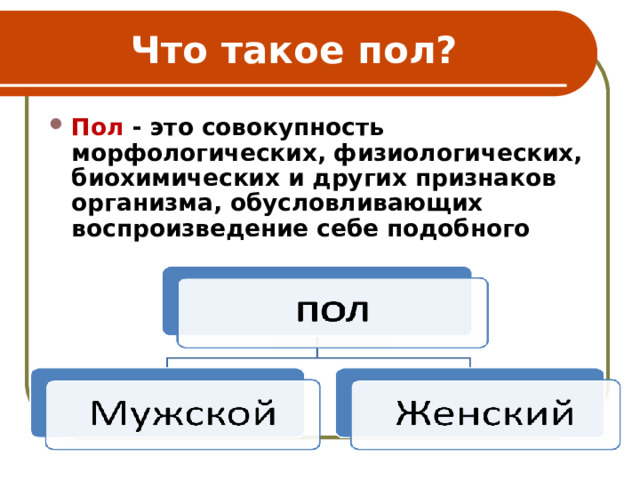 Что такое пол? Пол - это совокупность морфологических, физиологических, биохимических и других признаков организма, обусловливающих воспроизведение себе подобного 