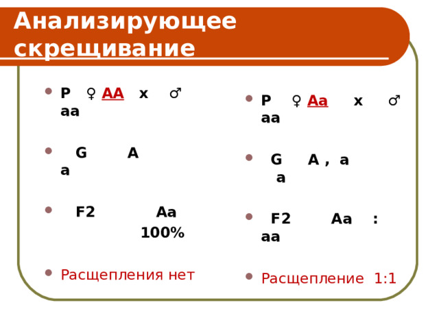 Анализирующее скрещивание Р ♀ АА  x ♂ аа   G А а   F 2 Аа  100%  Расщепления нет  Р ♀ Аа   x ♂ аа   G А , а а   F 2 Аа : аа  Расщепление 1:1  