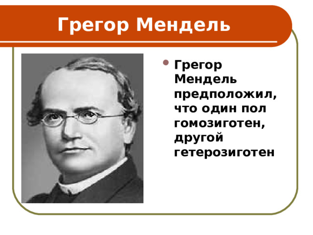 Грегор Мендель Грегор Мендель предположил, что один пол гомозиготен, другой гетерозиготен 