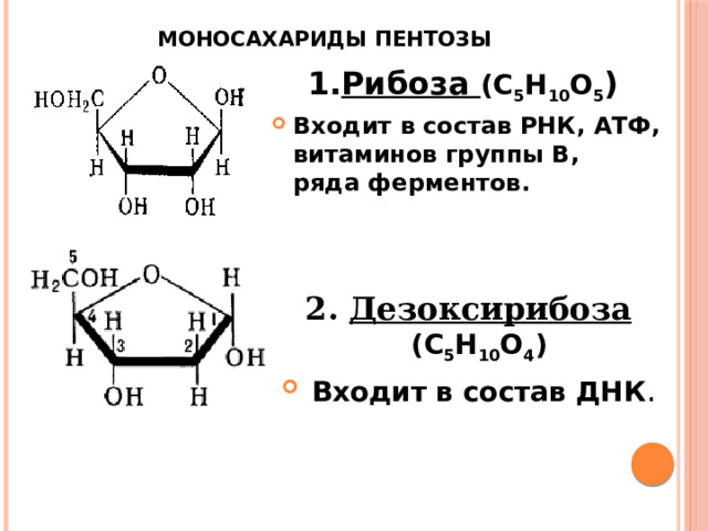 Моносахариды пентозы 1. Рибоза (С 5 Н 10 О 5 ) Входит в состав РНК, АТФ, витаминов группы В, ряда ферментов.   2. Дезоксирибоза  (С 5 Н 10 О 4 )  Входит в состав ДНК .  