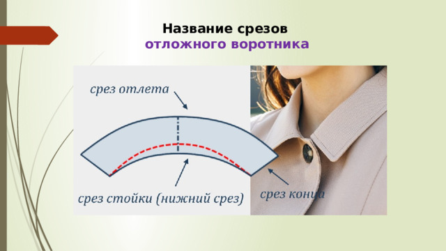 Название срезов отложного воротника 