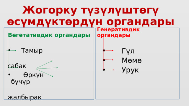 Жогорку түзүлүштөгү өсүмдүктөрдүн органдары Генеративдик органдары Вегетативдик органдары  Гүл  Мөмө  Урук  Тамыр  сабак  Өркүн бүчүр  жалбырак 