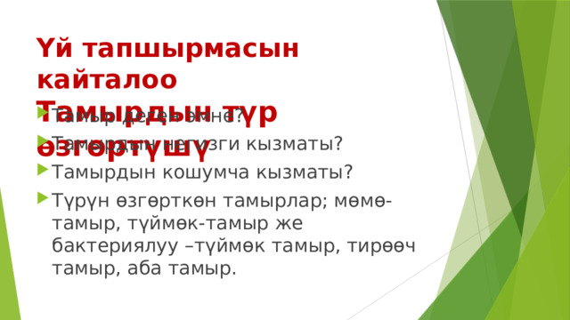 Үй тапшырмасын кайталоо  Тамырдын түр өзгөртүшү Тамыр деген эмне? Тамырдын негизги кызматы? Тамырдын кошумча кызматы? Түрүн өзгөрткөн тамырлар; мөмө-тамыр, түймөк-тамыр же бактериялуу –түймөк тамыр, тирөөч тамыр, аба тамыр. 