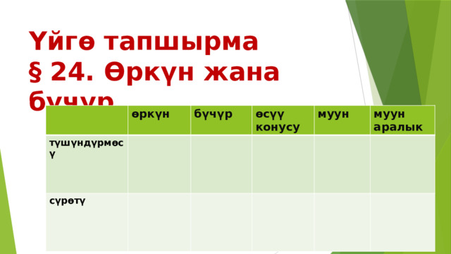 Үйгө тапшырма  § 24. Өркүн жана бүчүр. өркүн түшүндүрмөсү  бүчүр сүрөтү  өсүү конусу   муун  муун аралык   