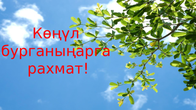 Көңүл бурганыңарга рахмат! 