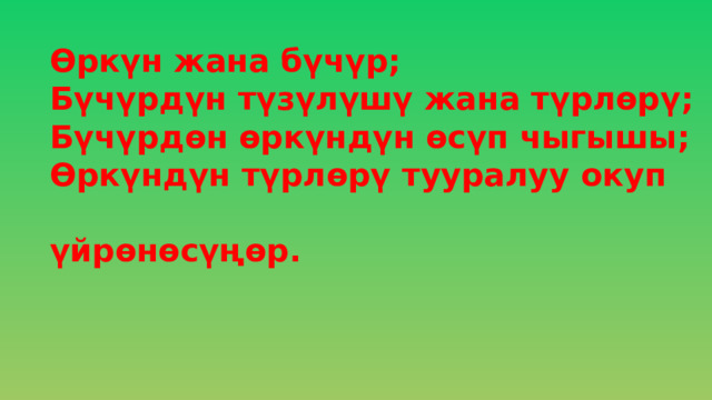    Өркүн жана бүчүр;  Бүчүрдүн түзүлүшү жана түрлөрү;  Бүчүрдөн өркүндүн өсүп чыгышы;  Өркүндүн түрлөрү тууралуу окуп  үйрөнөсүңөр.       