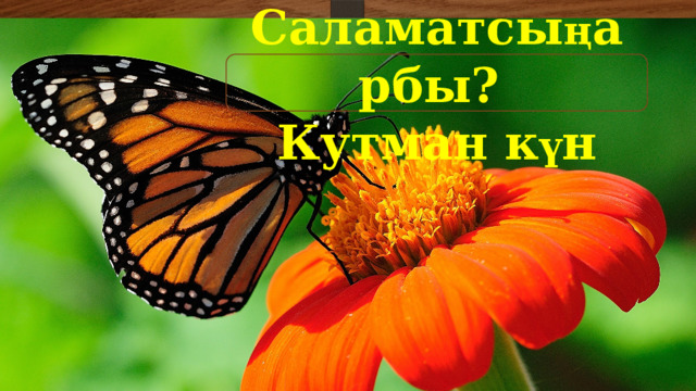 Саламатсы ң арбы? Кутман к ү н 
