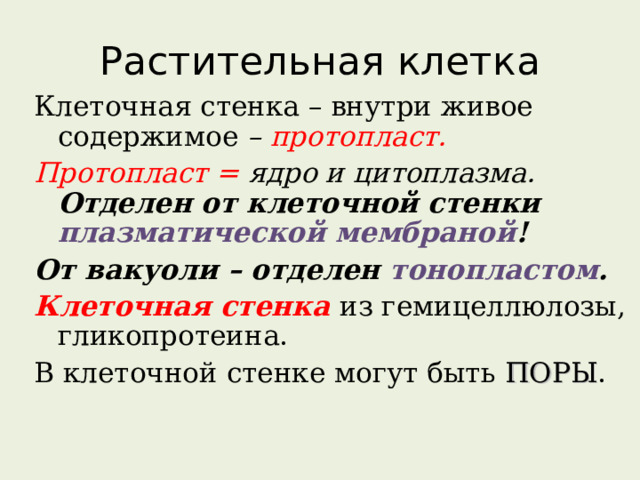 Растительная клетка Клеточная стенка – внутри живое содержимое – протопласт. Протопласт = ядро и цитоплазма.  Отделен от клеточной стенки плазматической мембраной !  От вакуоли – отделен тонопластом . Клеточная стенка из гемицеллюлозы, гликопротеина. В клеточной стенке могут быть ПОРЫ .  