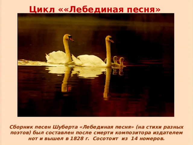 Цикл ««Лебединая песня» Сборник песен Шуберта «Лебединая песня» (на стихи разных поэтов) был составлен после смерти композитора издателем нот и вышел в 1828 г. Сосотоит из 14 номеров. 