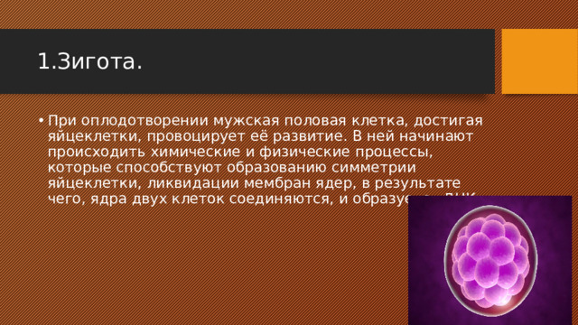 Образуется в результате дробления образуется в результате впячивания внутрь стенки зародыша