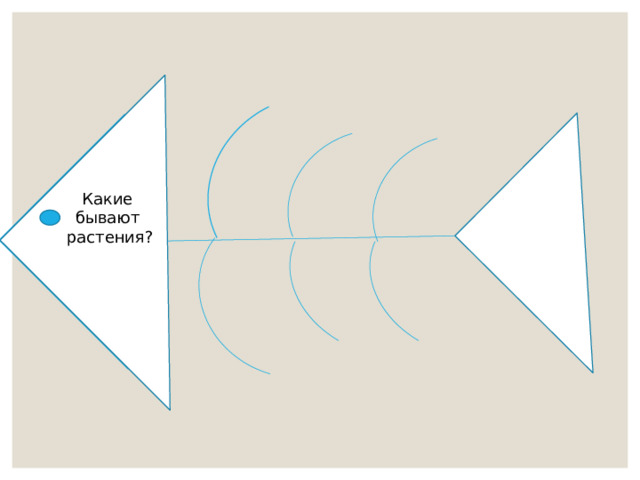 Какие бывают растения? 