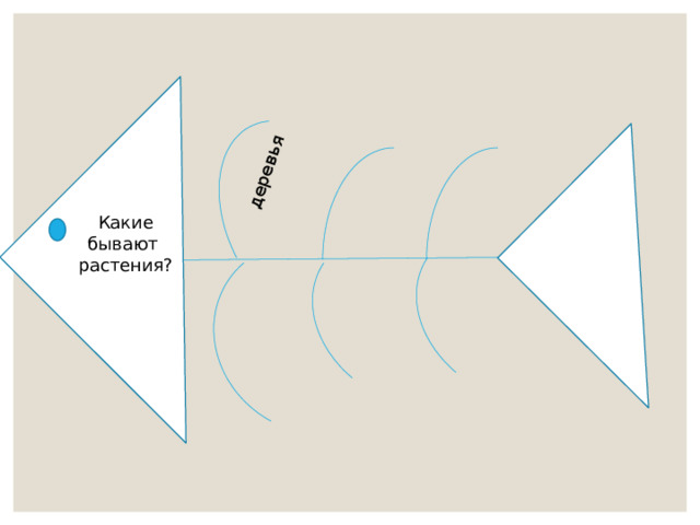 деревья Какие бывают растения? 