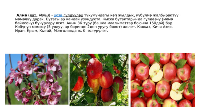     Алма  ( лат.   Malus ) -  роза гүлдүүлөр  тукумундагы көп жылдык, күбүлмө жалбырактуу мөмөлүү дарак. Бутагы ар кандай узундукта. Кыска бутактарында гүлдөөчү (мөмө байлоочу) бүчүрлөрү өсөт. Анын 36 түрү (башка маалыматтар боюнча 150дөй) бар. Көбүнүн мөмөсү (5 уялуу, ар биринде 2ден уругу болот) желет. Кавказ, Кичи Азия, Иран, Крым, Кытай, Монголияда ж. б. өстүрүлөт. 