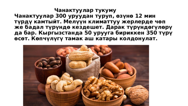  Чанактуулар тукуму  Чанактуулар 300 уруудан туруп, ѳзүнө 12 мин түрдү камтыйт. Мелүүн климаттуу жерлерде чѳп же бадал түрүндө кездешет. Дарак түрүндѳгүлөрү да бар. Кыргызстанда 50 урууга бириккен 350 түрү ѳсѳт. Кѳпчүлүгү тамак аш катары колдонулат. 