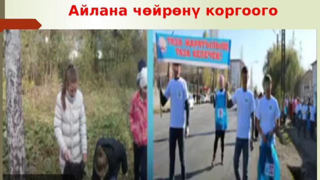  Айлана чөйрөнү коргоого 
