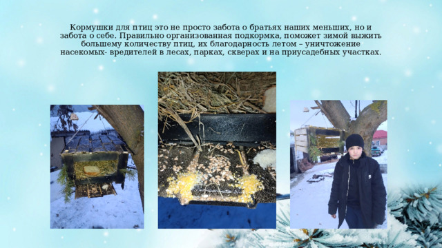 Кормушки для птиц это не просто забота о братьях наших меньших, но и забота о себе. Правильно организованная подкормка, поможет зимой выжить большему количеству птиц, их благодарность летом – уничтожение насекомых- вредителей в лесах, парках, скверах и на приусадебных участках. 