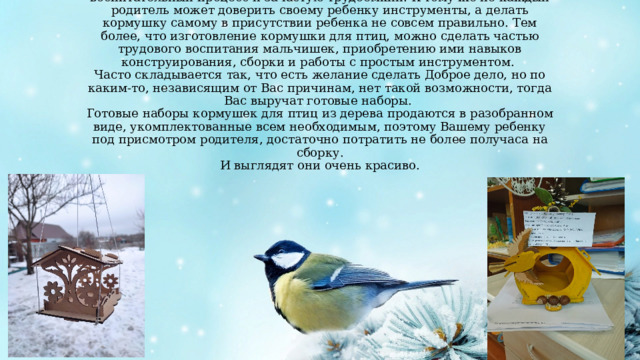 Изготовление кормушки, наряду с подкормкой птиц, это воспитательный процесс и зачастую трудоемкий. К тому же не каждый родитель может доверить своему ребенку инструменты, а делать кормушку самому в присутствии ребенка не совсем правильно. Тем более, что изготовление кормушки для птиц, можно сделать частью трудового воспитания мальчишек, приобретению ими навыков конструирования, сборки и работы с простым инструментом.  Часто складывается так, что есть желание сделать Доброе дело, но по каким-то, независящим от Вас причинам, нет такой возможности, тогда Вас выручат готовые наборы.  Готовые наборы кормушек для птиц из дерева продаются в разобранном виде, укомплектованные всем необходимым, поэтому Вашему ребенку под присмотром родителя, достаточно потратить не более получаса на сборку.  И выглядят они очень красиво. 
