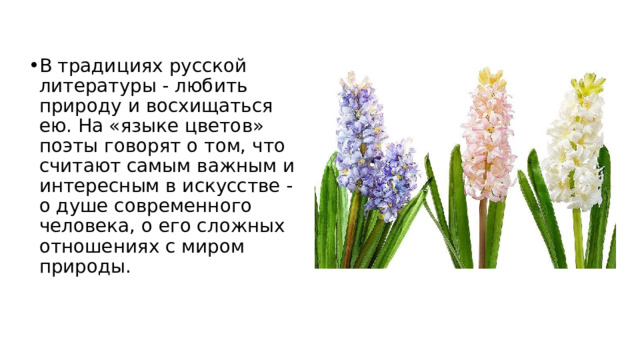 В традициях русской литературы - любить природу и восхищаться ею. На «языке цветов» поэты говорят о том, что считают самым важным и интересным в искусстве - о душе современного человека, о его сложных отношениях с миром природы. 