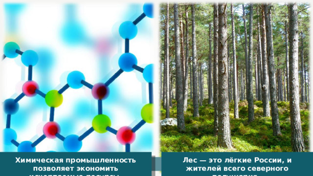 Химическая промышленность позволяет экономить исчерпаемые ресурсы. Лес — это лёгкие России, и жителей всего северного полушария. 